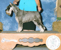 Etta